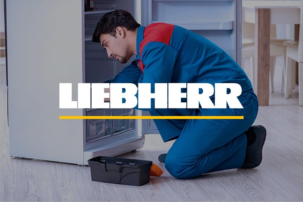 Ovlašćeni servis Liebherr frižidera