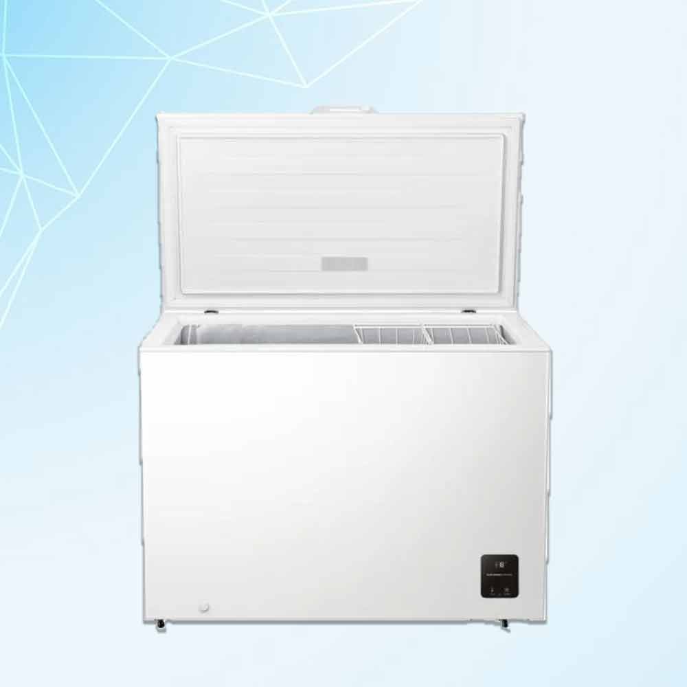 Servis za popravku zamrzivača Beograd